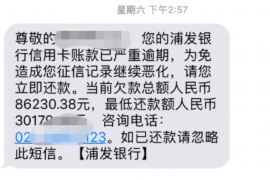 怀安遇到恶意拖欠？专业追讨公司帮您解决烦恼